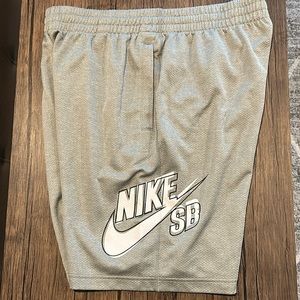 Nike SB Sunday Shorts